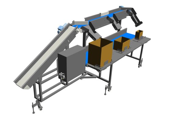 Box-filling conveyor in the agri-food sector.