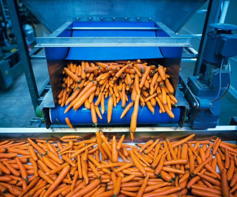 Convoyeur agroalimentaire