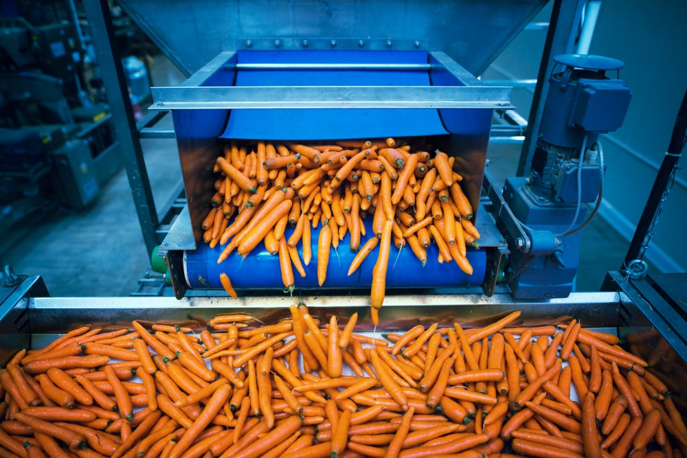 Des convoyeurs au service de l’industrie agroalimentaire