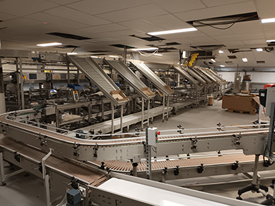 Ligne complète transport de boîtes d'oeufs